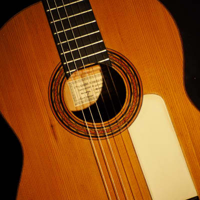 Guitarra Viuda y sobrinos de Domingo Esteso 1950 image 5