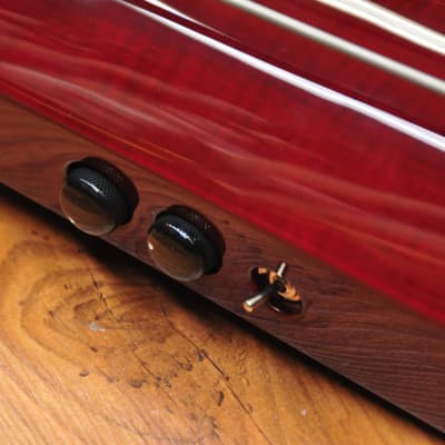 NS Design WAV5c Double Bass Trans Red image 8
