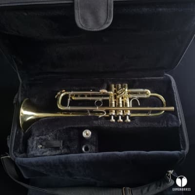 Cannonball Big Bell Stone Series 725 trumpet case mouthjpiece gamonbrass image 2
