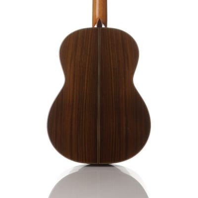 Cordoba C10 Parlor - ⅞  Size Classical Guitar - Solid Spruce Top, Solid Indian Rosewood back/sides image 3