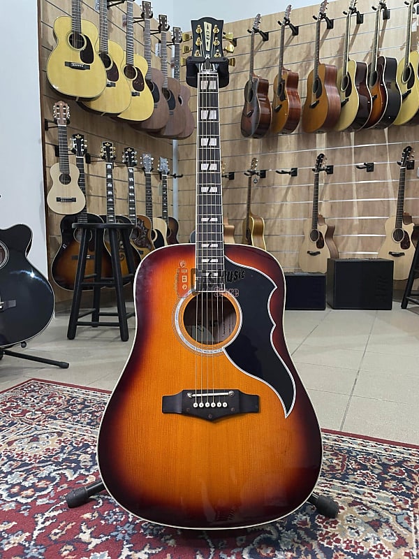 シ*ン様 エレアコ　EKO Ranger VI VR　Honey Burst E Eko Ranger VI VR Honey Burst - 15100138
