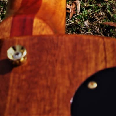 LEVITCH Custom Single Cut 1989 Sunburst  by Rich Levitch. Former KOONTZ Harptone Standell luthier Ony1 image 23