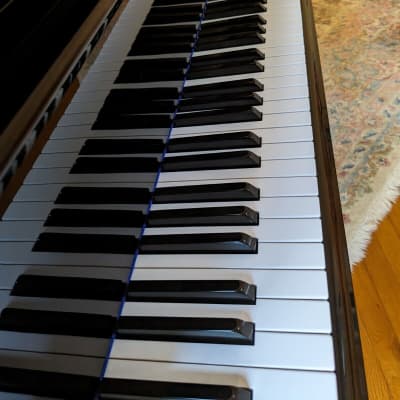 Kawai KG-2E sweet Grand Piano 5'10" Polished Ebony image 6