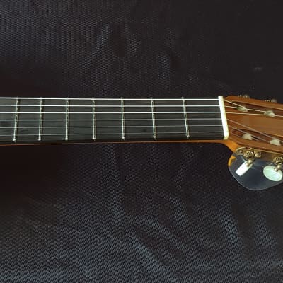 1964 Francisco Fernandez Brazilian Rosewood Classical Guitar image 19