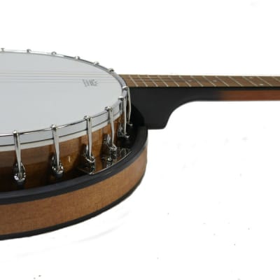 Zenison 5-String BANJO Traditional Bluegrass 10'' Remo Head Thick PADDED Gig BAG image 3
