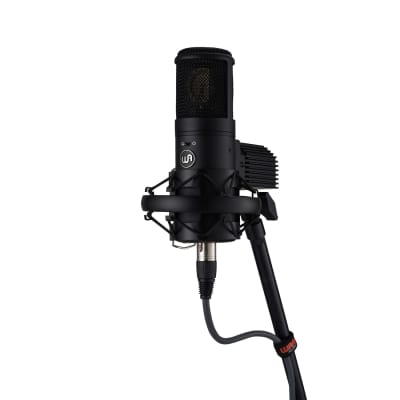 Warm Audio WA-8000 Large Diaphragm Tube Condenser Microphone image 5