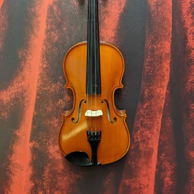 Carlo Robelli Violmaster P-250 Violin (White Plains, NY)