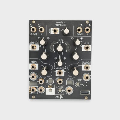 Make Noise Morphagene Module | Reverb