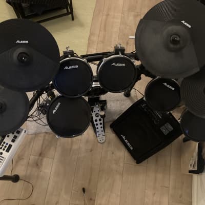 Alesis DM10 MkII Pro Kit Electronic Drum Set 2010s - Black