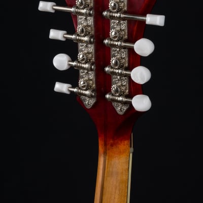 Eastman MD515/V Varnish F-Style Full Gloss Mandolin NEW image 19