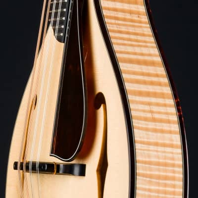 Collings MT2 Blonde Italian Spruce and Flamed Maple Mandolin with Pickguard NEW image 9