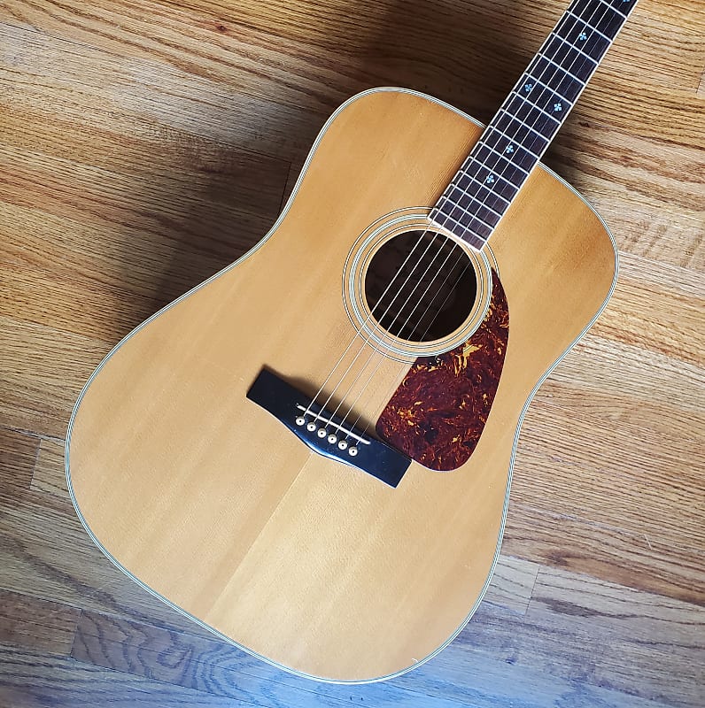 Fender f deals 250 acoustic guitar