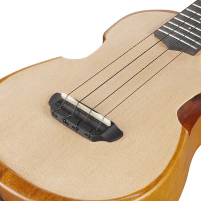 Ibanez AUC10E-OPN Concert Ukulele Open Pore Natural incl. Gigbag - NEW image 3