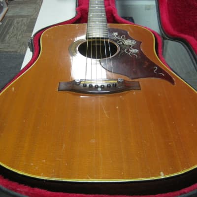 Conrad 40174 Acoustic with Case image 2