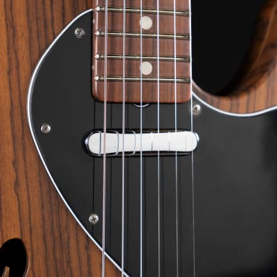 Artist TL69 Tele Review: A Light, Versatile, and Affordable