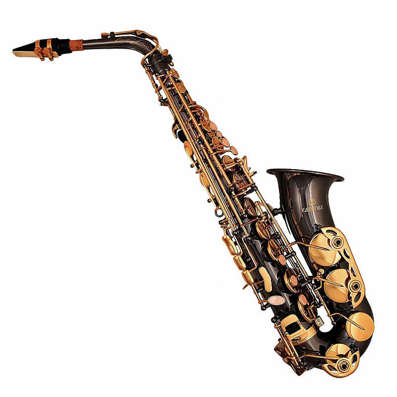 Alto Saxophone with Case World Class finish with reed and case