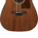 Ibanez AW5412CE-OPN Natural Open Pore
