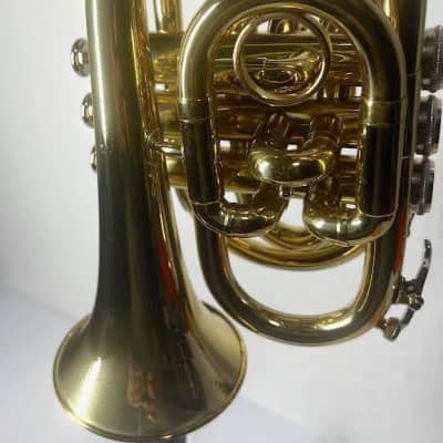 Unbranded Pocket Trumpet (Used) image 1