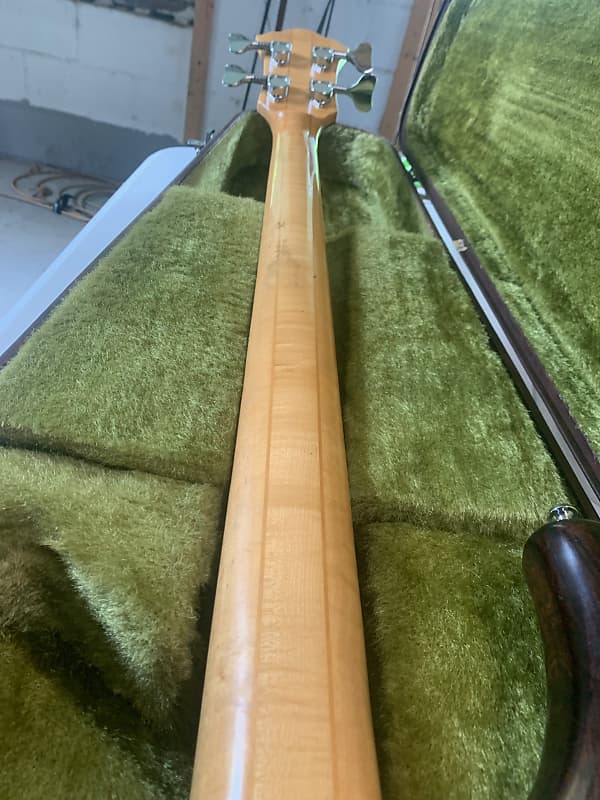 Ibanez MC-940DS Musician Fretless Bass 1980 Walnut | Reverb