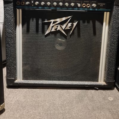 Peavey Express 112 w/SG Systems speaker | Reverb