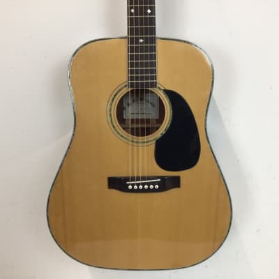 SS Stewart W-50 Acoustic Guitar image 1