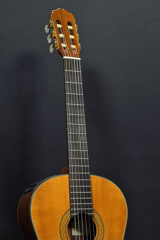 Takamine Takamine Pt 310 [Sn 34020767] [02/27]