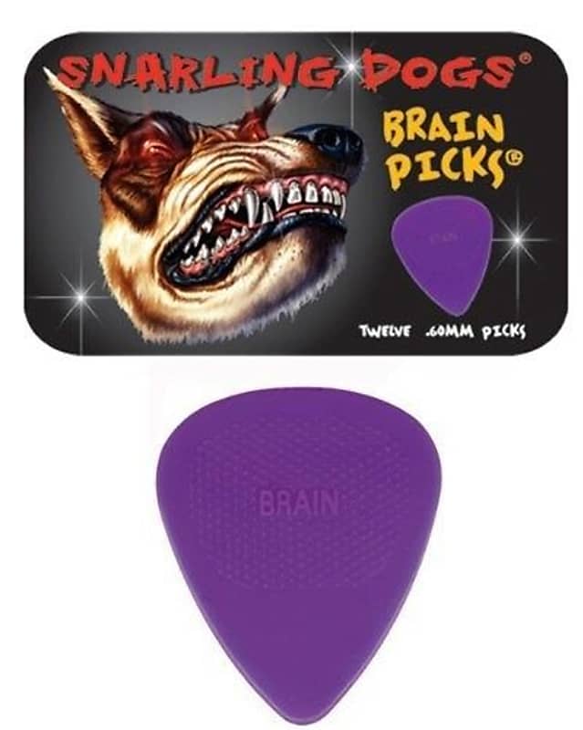 Snarling Dogs Brain Guitar Picks Purple .60mm 12 picks in Tin Box  Purple image 1