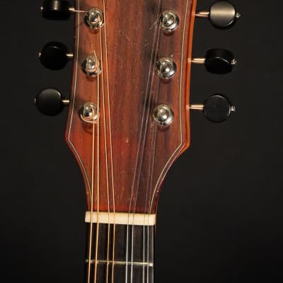 Stevens Mandolin Spruce / Padouk - Natural Satin image 2
