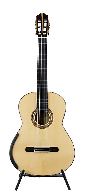 Yulong Guo Concert - Spruce/Cedar Double Top, Solid Ziricote Back/Sides -  Double Back - 2022 Model