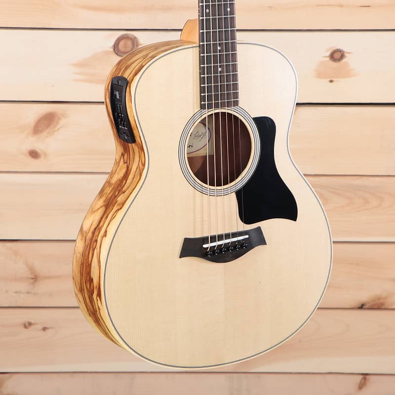 GS Mini-e Special Edition, Paisley Burst Layered Sapele