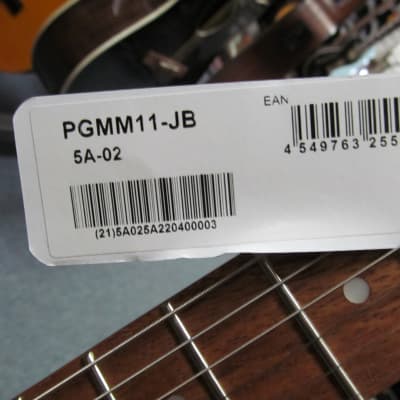 Ibanez PGMM11 Paul Gilbert Signature 6str miKro Electric Guitar Jewel Blue image 2