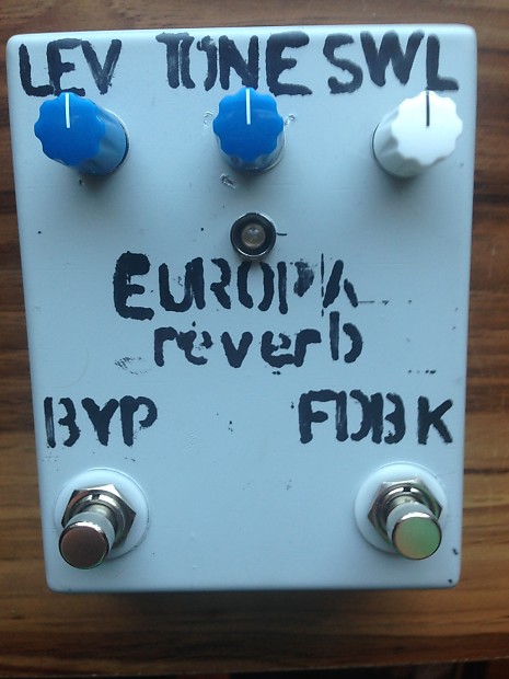 Small Grey Europa Reverb image 1