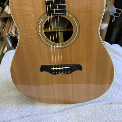 Bozo Model B60 Acoustic Guitar image 3