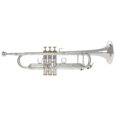 Magenta Winds Bb Trumpet - TP 1 for sale