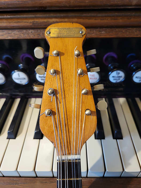 TOP-Fratelli Vinaccia-Mandolin-Napoli(1927)-restored | Reverb