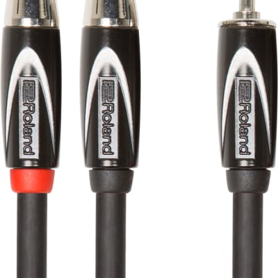 Roland RCC-352R Black Series Interconnect Cable, Stereo Mini to Dual RCA, 10 ft