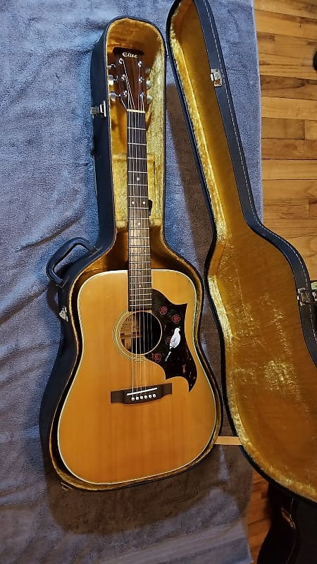 Elite/Takamine TW25 (special style)