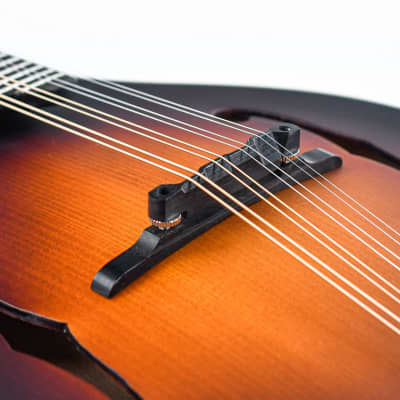 Eastman MD305E Sunburst image 7