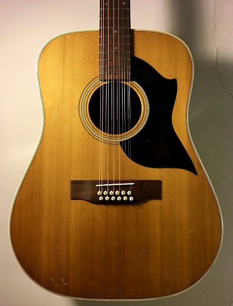 Goya 12 string guitar top