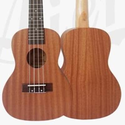 Aiersi Solid Top Concert Ukulele with Aquila Strings & Carrying Bag for sale