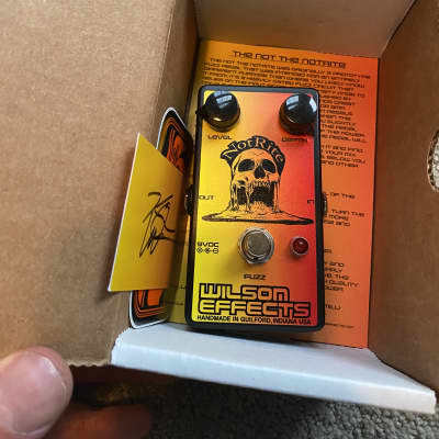 Wilson Effects Not the Notrite Fuzz 2023 (John Frusciante)