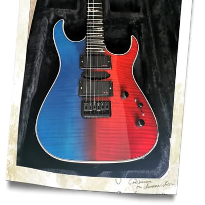 Palm Bay Guitars - Avalanche AXX Custom EMG + case for sale