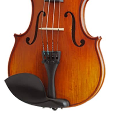 Roderich Paesold 804-A Violin (Torrance,CA) | Reverb