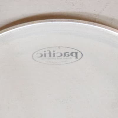 PDP Pacific 14" Mesh Drum Head image 4