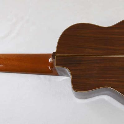 Bartolex SLC10CEL Classical 10-String Harp Guitar, w/Pickup, Cutaway, Sound Port, w/Softshell Case image 4