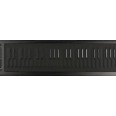 ROLI Seaboard RISE 49 | Reverb