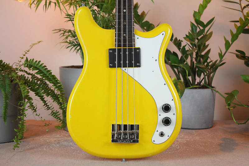 Epiphone Newport Bass 1966 Yellow *Video Demo* image 1