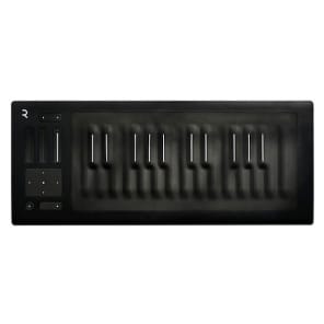 ROLI Seaboard RISE 25 USB MIDI キーボード ROLI Seaboard Rise 25-note MPE MIDI Controller Reviews