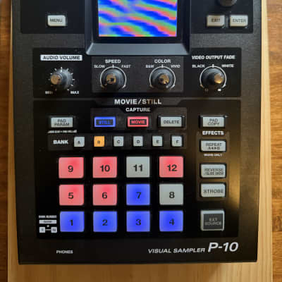 Roland Edirol P-10 Visual Sampler - Black w/ Box | Reverb