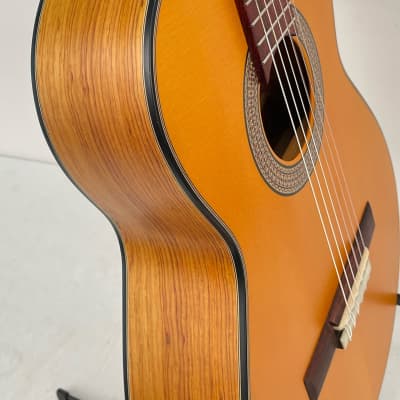Superior Classical Guitar 2022 Nitro Matte image 6